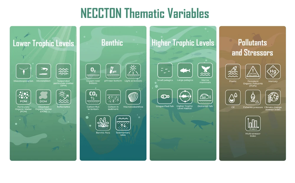 NECCTON%20Thematic%20Variables