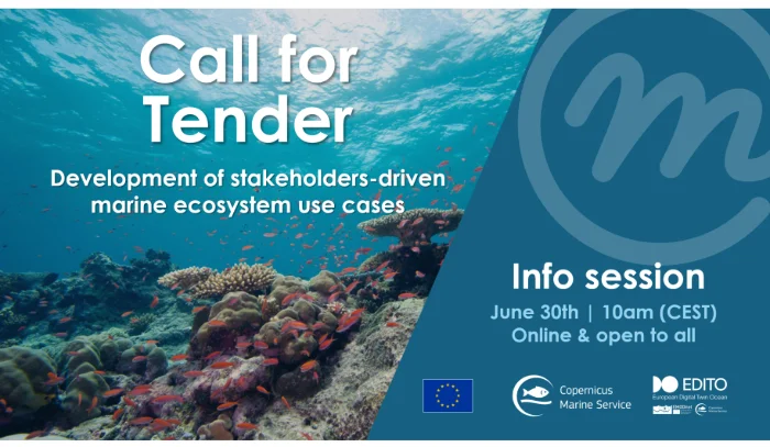 About the Call for Tender