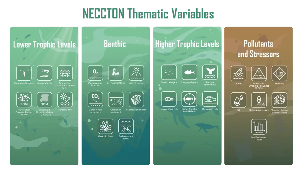 NECCTON-Infography.png